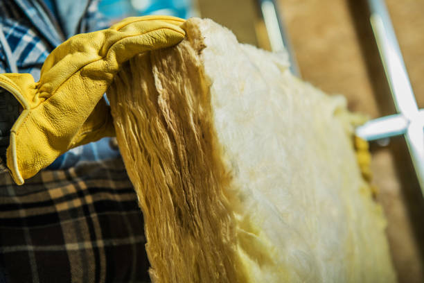 Best DIY Insulation Kits and Guidance in Thomson, GA