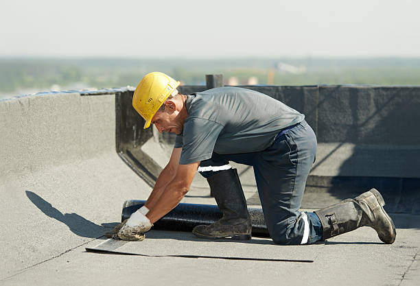 Best Commercial Insulation in Thomson, GA