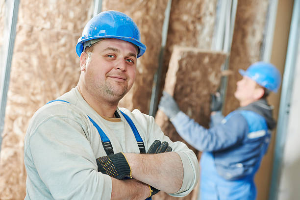 Best Cellulose Insulation in Thomson, GA