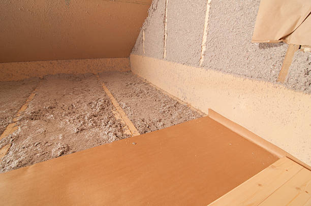 Best Eco-Friendly Insulation in Thomson, GA