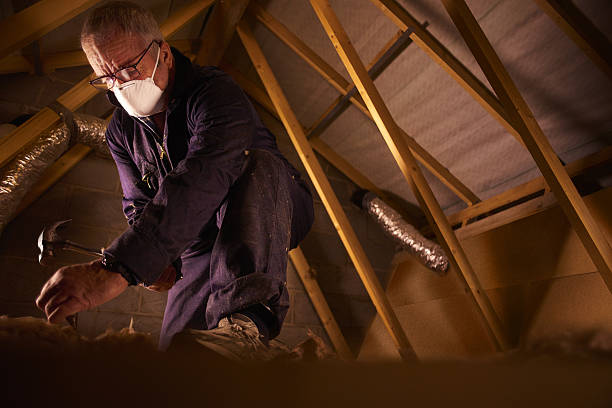 Types of Insulation We Offer in Thomson, GA