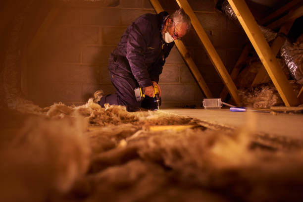 Best Specialized Insulation Services in Thomson, GA