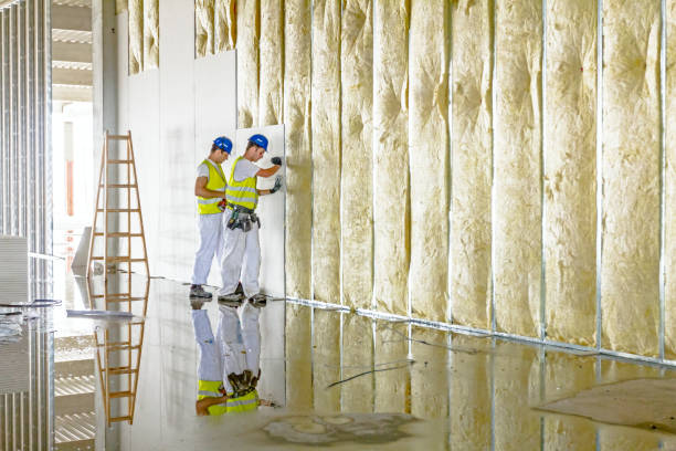 Best Residential Insulation in Thomson, GA